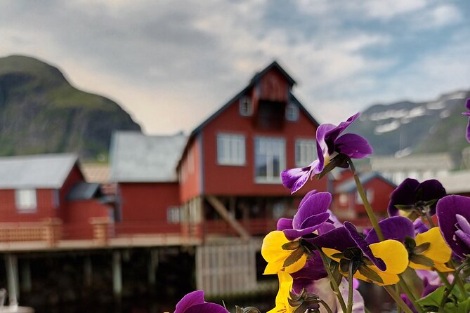Lofoten VIP PRIVATE Tour from Leknes city / port - What VIP private really means on Lofoten roads