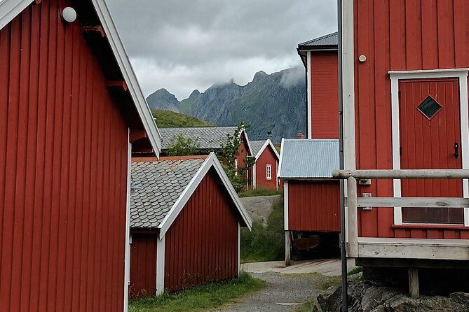 Lofoten VIP PRIVATE Tour from Leknes city / port - Stop by stop: the best of Lofoten in a single loop