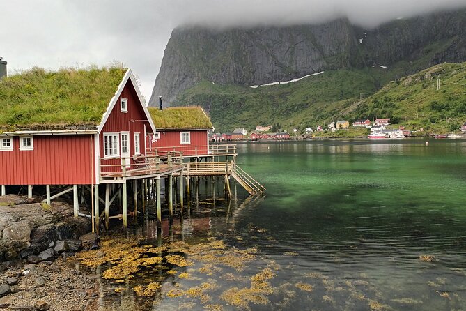 Lofoten VIP PRIVATE Tour from Leknes city / port - Photos and timing: how to get the most from 6 hours