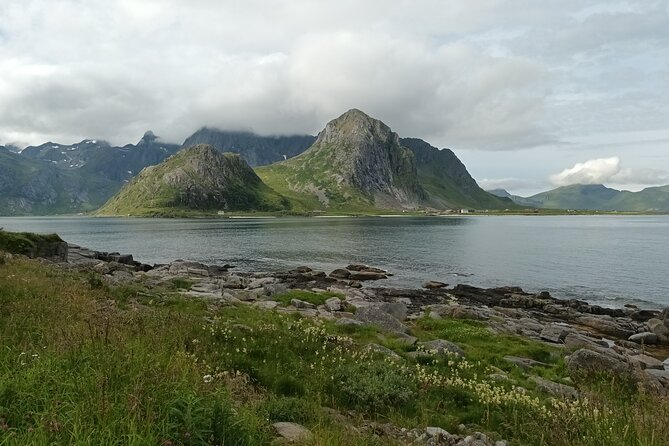 Lofoten VIP PRIVATE Tour from Leknes city / port - Who should book this tour