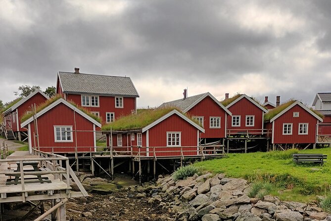 Lofoten VIP PRIVATE Tour from Leknes city / port - Should you book this Lofoten VIP Private Tour?