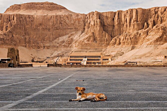 Luxor Tour from Hurghada Full Day Hight Quality King VIP - Colossi of Memnon: fast stop, iconic photos