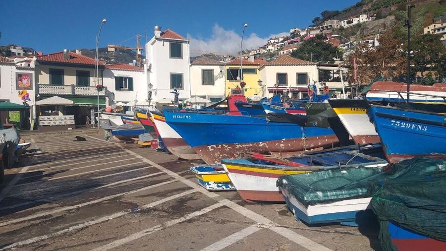 Madeira Private 4-Seater Mercedes VIP - Levadas and Walking: what the driver-guide will and won’t do