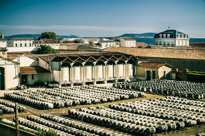 Maison Noilly Prat VIP tour, wine and vermouth tastings - Key highlights you’ll actually care about
