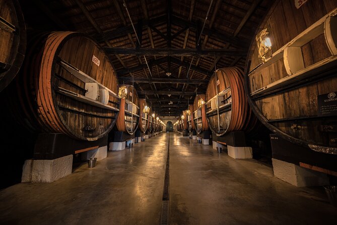 Maison Noilly Prat VIP tour, wine and vermouth tastings - Where you start at Maison Noilly Prat (and what that means)