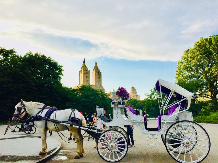 Manhattan: VIP Private Horse Carriage Ride in Central Park - Key Things That Make This VIP Ride Worth Your Time