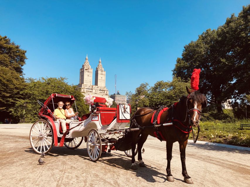 Manhattan: VIP Private Horse Carriage Ride in Central Park - Coachman & Guide Energy: Getting the Human Touch