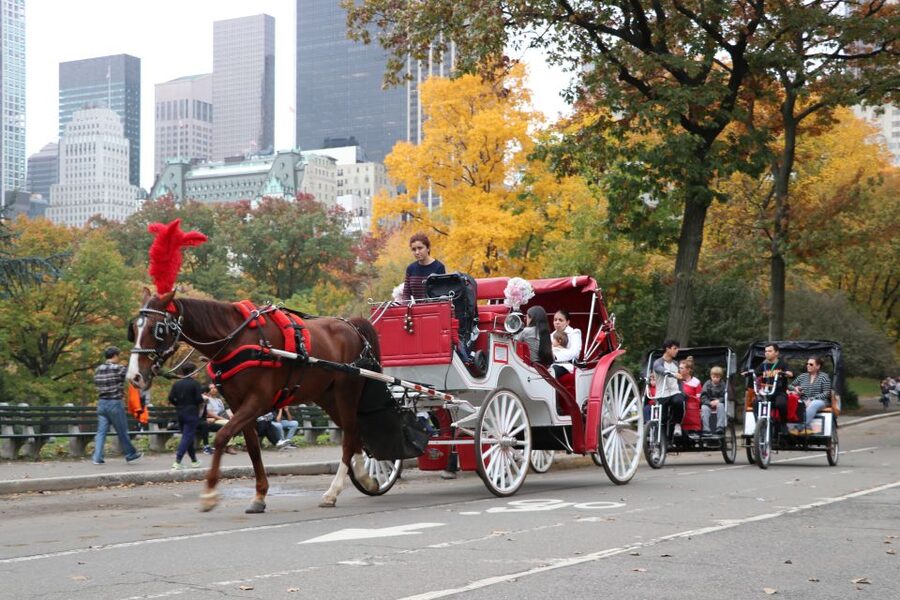 Manhattan: VIP Private Horse Carriage Ride in Central Park - Entering Central Park Through the Horse Carriage Way