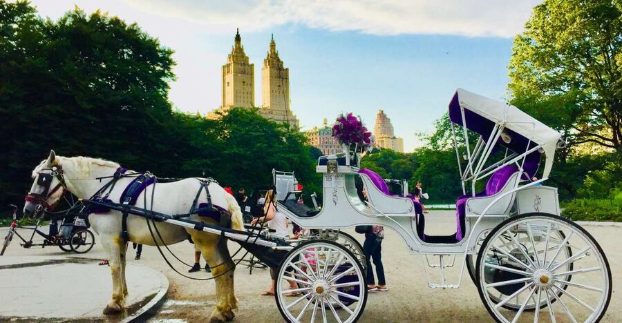 Manhattan: VIP Private Horse Carriage Ride in Central Park - What a 1-Hour VIP Carriage Ride Feels Like