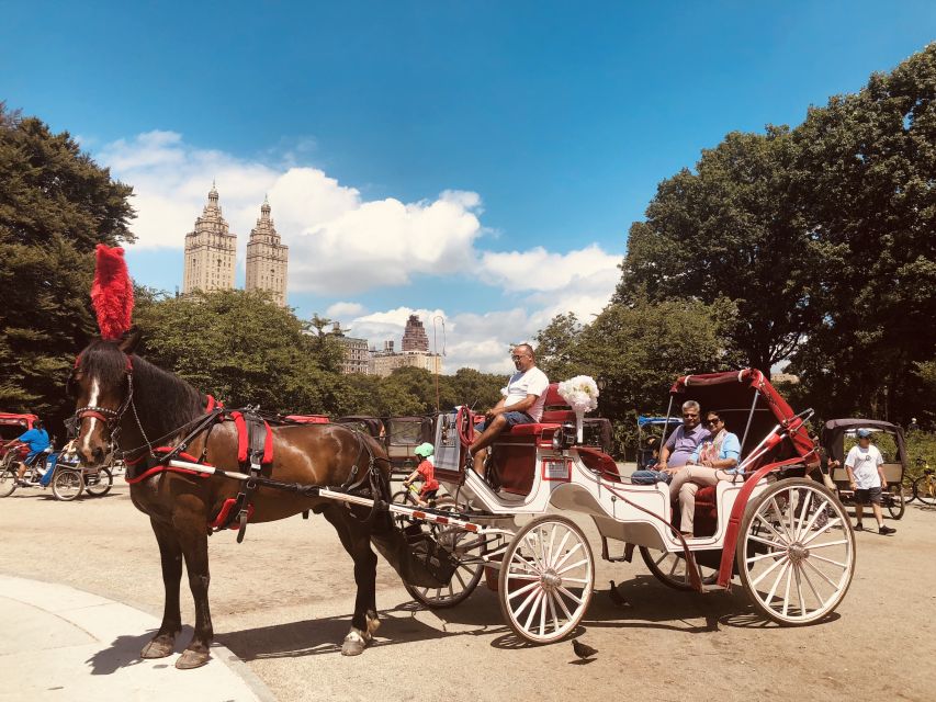 Manhattan: VIP Private Horse Carriage Ride in Central Park - Strawberry Fields and Sheep Meadow: A Break From the City’s Noise