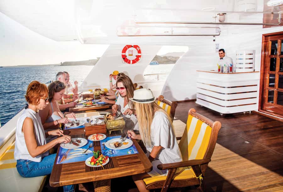 Marsa Alam: Elite vip Turtle bay snorkeling with BBQ Lunch - Key highlights worth planning for