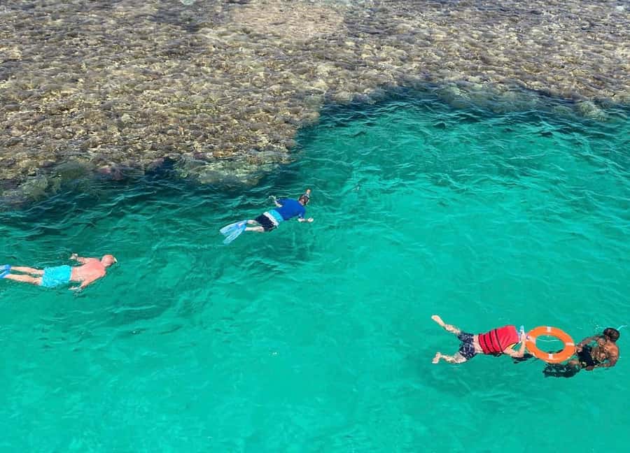 Marsa Alam: Elite vip Turtle bay snorkeling with BBQ Lunch - Who This Tour Suits Best in Marsa Alam (and who should skip it)
