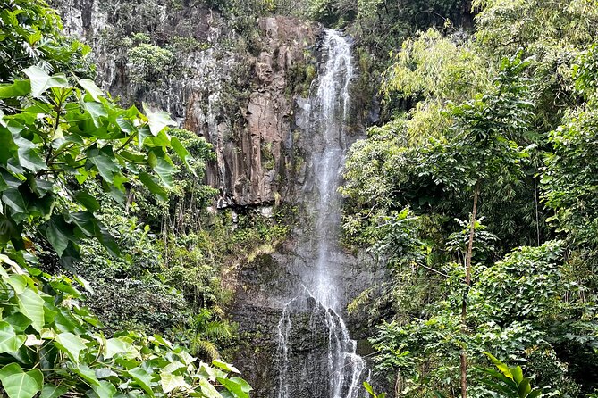 Maui Road to Hana VIP Private Tour in Convertible Bronco or Jeep - Customization on a busy road: how the day stays yours