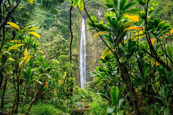 Maui: VIP Private Road to Hana Tour with Pick Up - When you might want to think twice