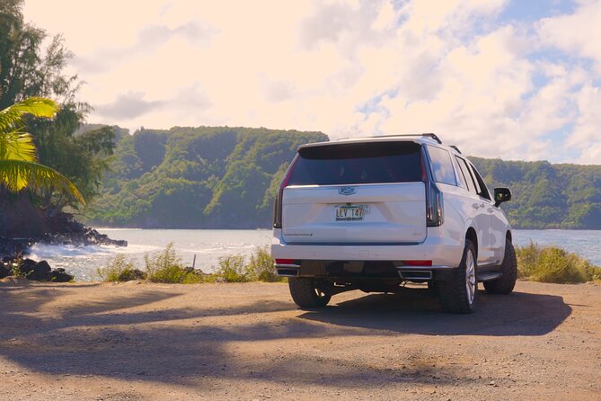 Maui: VIP Private Road to Hana Tour with Pick Up - Should you book this VIP Private Road to Hana Tour?