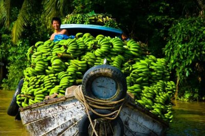 Mekong Delta Tour with Kayaking, Cycling and Cooking - Cycling at Family Garden in Long An Province