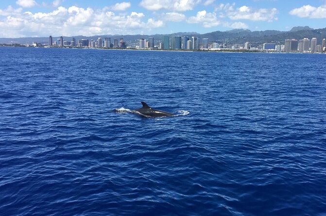 Moana’s VIP Waikiki Turtle Snorkeling Experience on Nalu - How the 2 hours typically move: cruise, Diamond Head views, then Turtle Canyon