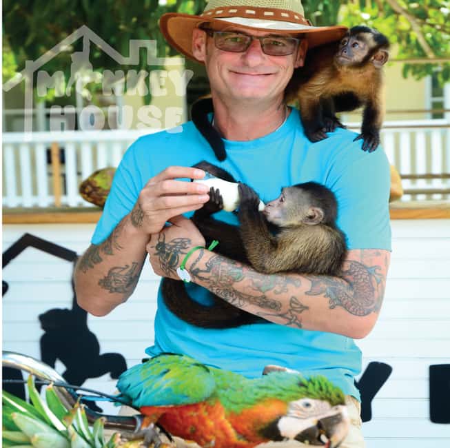 Monkey House VIP – An exclusive experience in Punta Cana - Key takeaways before you go