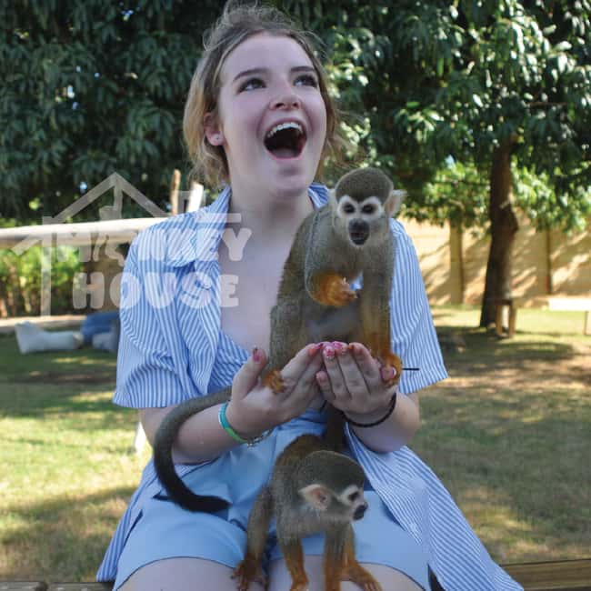 Monkey House VIP – An exclusive experience in Punta Cana - What Monkey House VIP is really about (not just monkeys)