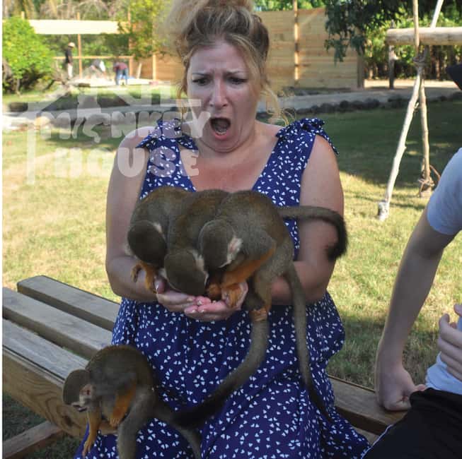 Monkey House VIP – An exclusive experience in Punta Cana - VIP admission and the guided setup that keeps things smooth