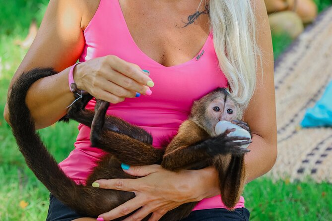 Monkey House VIP Experience with 4 species of monkeys, Punta Cana - Key Points I’d Use to Decide