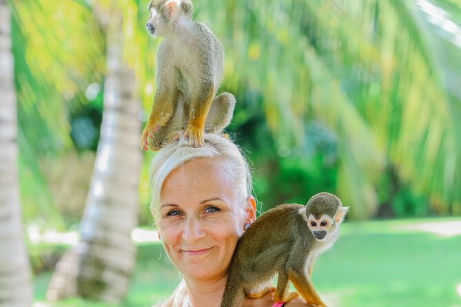 Monkey House VIP Experience with 4 species of monkeys, Punta Cana - The Photo and Video Segment: How to Plan for the Upsell
