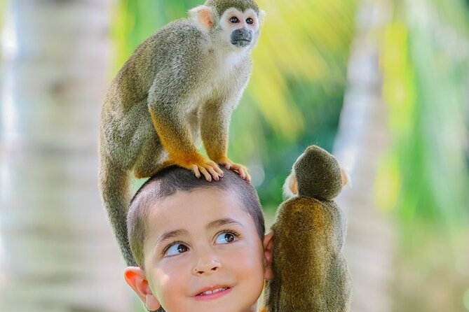 Monkey House VIP Experience with 4 species of monkeys, Punta Cana - Value Check: Is $76 Worth It?