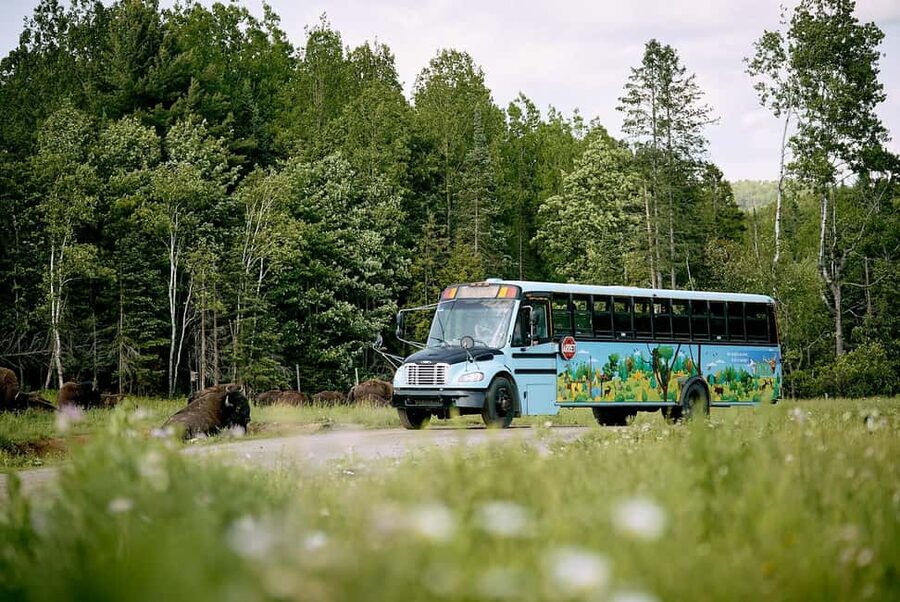 Montebello, QC: Morning VIP Tour at Parc Oméga - What Makes the Morning VIP Format Different at Parc Oméga