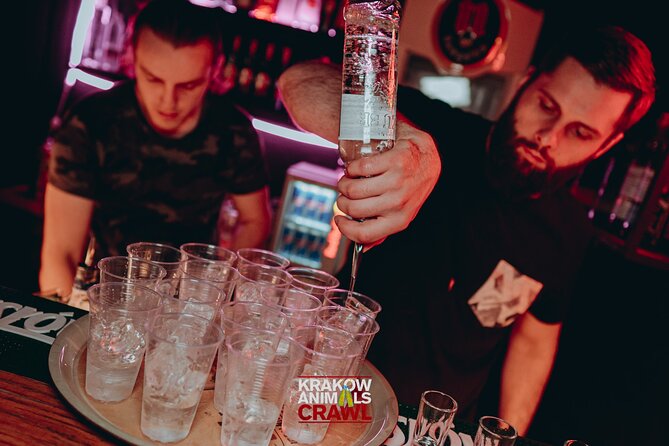 New Year's Eve Pub Crawl With 2 Hour Unlimited Alcohol + VIP Entry To Best Clubs - Who should book this Krakow NYE pub crawl?
