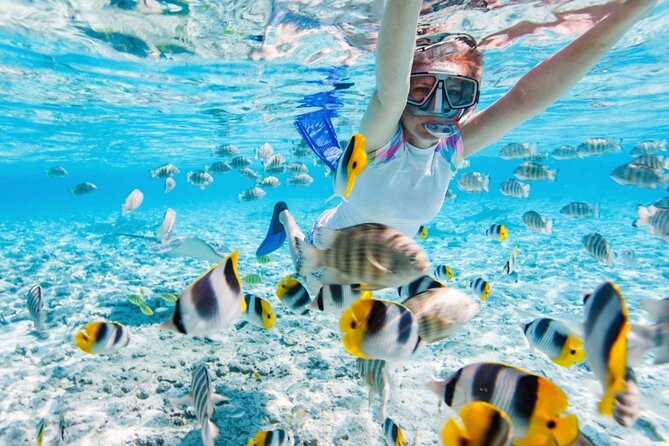 Nha Trang 3 Island VIP Tour - Stop 2: Hon Mieu Island—Where the Best Snorkeling Time Often Lands