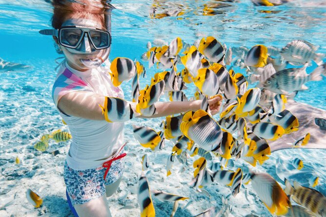 Nha Trang 3 Island VIP Tour - Hotel Pickup to Pier: The Smooth Start You Want on a Sea Day