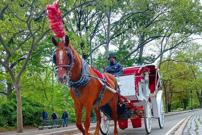 NYC Central Park VIP Horse and Carriage Ride - Why a Central Park Carriage Ride Still Works (Even If You’ve Been Before)