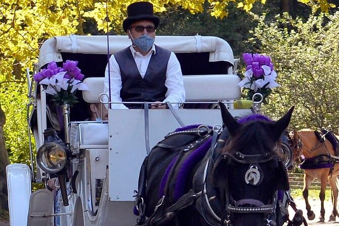 NYC Central Park VIP Horse and Carriage Ride - Starting at 7th Avenue & Central Park South: The Ride’s First Impression