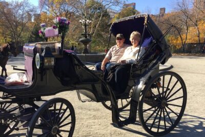 NYC Central Park VIP Horse and Carriage Ride - The VIP Setup: Private Ride Time, Photo Stops, and a Friendly Driver