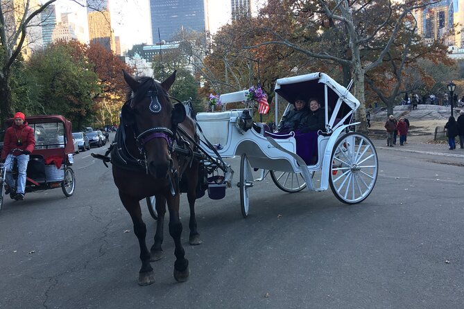 NYC Central Park VIP Horse and Carriage Ride - The Natural History Museum Area: A Landmark-First Way to Orient