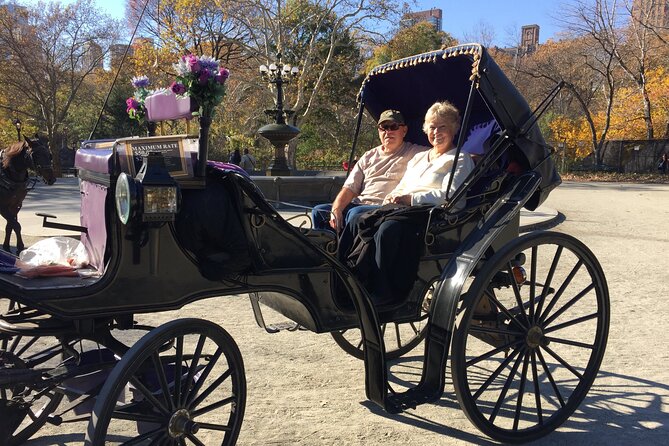 NYC Central Park VIP Horse and Carriage Ride - The VIP Setup: Private Ride Time, Photo Stops, and a Friendly Driver