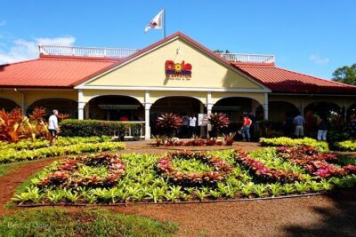 Oahu Island Tour, Dole plantation ,Northshore,VIP,PRIVATE - Hanauma Bay Nature Preserve: Reef-Fish Scenery and an Easy Start