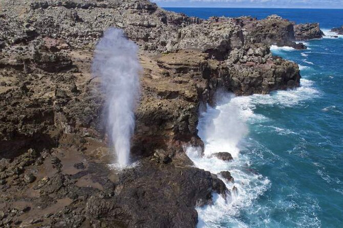 Oahu Island Tour, Dole plantation ,Northshore,VIP,PRIVATE - Mokoli’i Island and Kualoa Ranch: From Offshore Islet to Working Land