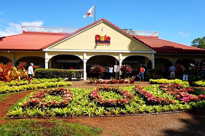 Oahu Island Tour, Dole plantation ,Northshore,VIP,PRIVATE - Hanauma Bay Nature Preserve: Reef-Fish Scenery and an Easy Start