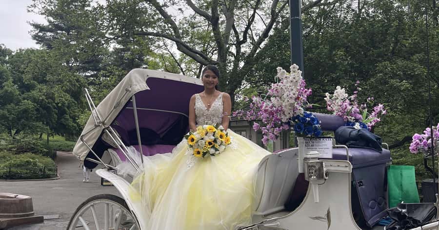 Official Exclusive VIP Horse Carriage Ride in Central Park - Key highlights worth planning around
