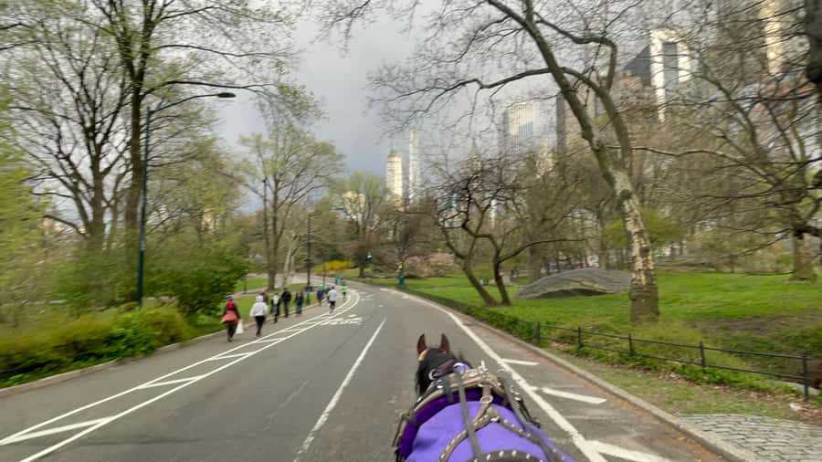 Official Exclusive VIP Horse Carriage Ride in Central Park - Entering Central Park from 7th Ave and West 59th