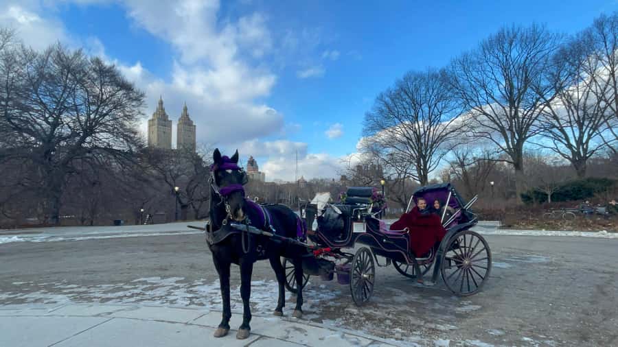 Official Exclusive VIP Horse Carriage Ride in Central Park - Wollman Rink: the quick, fun start
