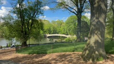 Official Exclusive VIP Horse Carriage Ride in Central Park - 45 minutes, but you’ll still get the park’s highlights
