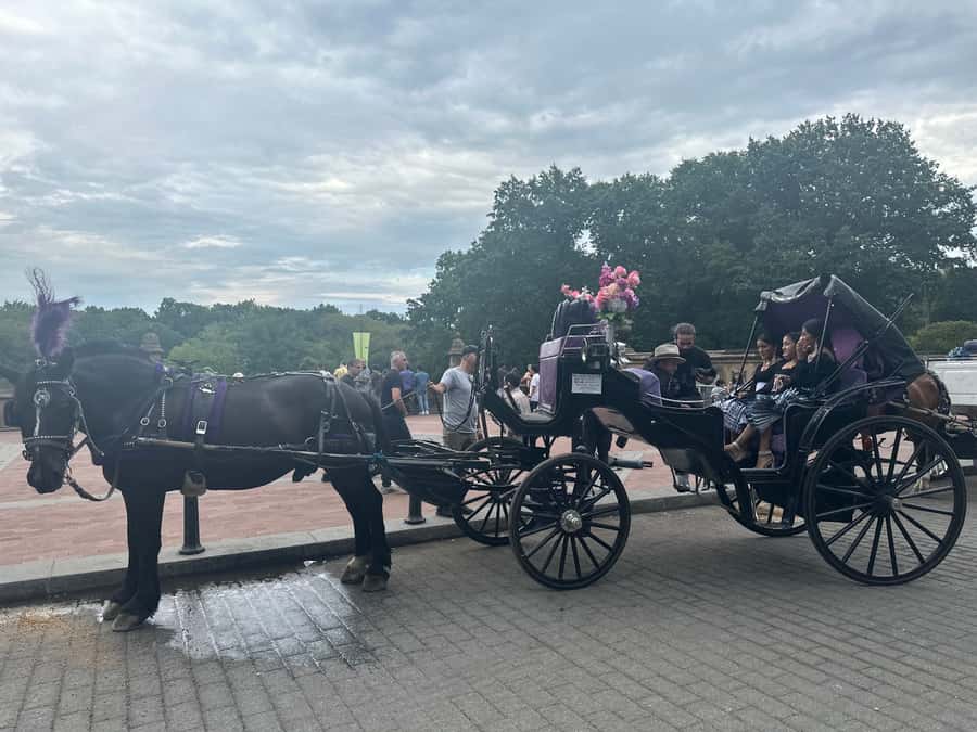 Official Exclusive VIP Horse Carriage Ride in Central Park - Bethesda Fountain photo stop: the big Central Park moment