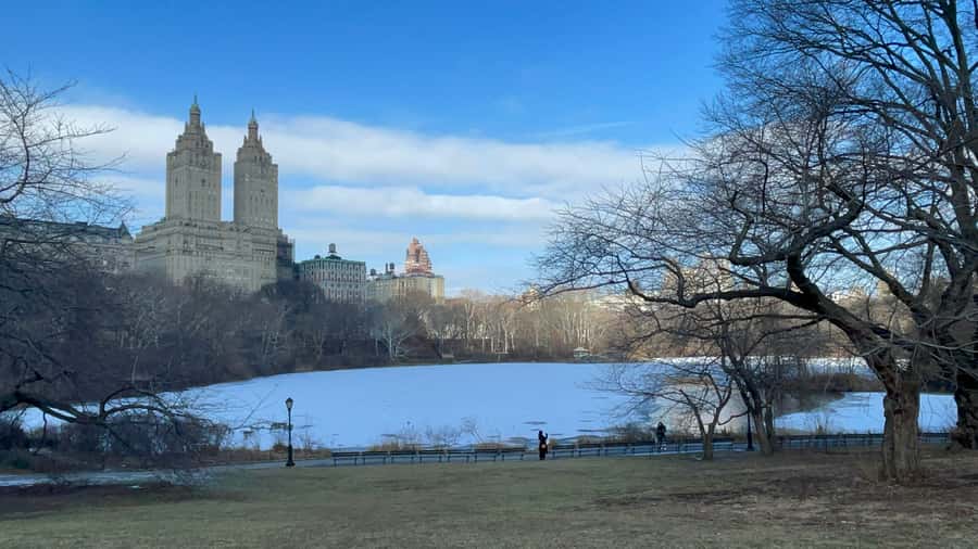 Official Exclusive VIP Horse Carriage Ride in Central Park - Sheep Meadow: the park’s afternoon-in-a-sentence