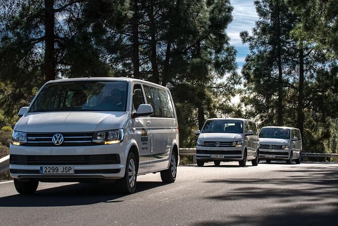Panorama VIP Tour in Gran Canaria - How Much Walking and Freedom Do You Get at Stops?