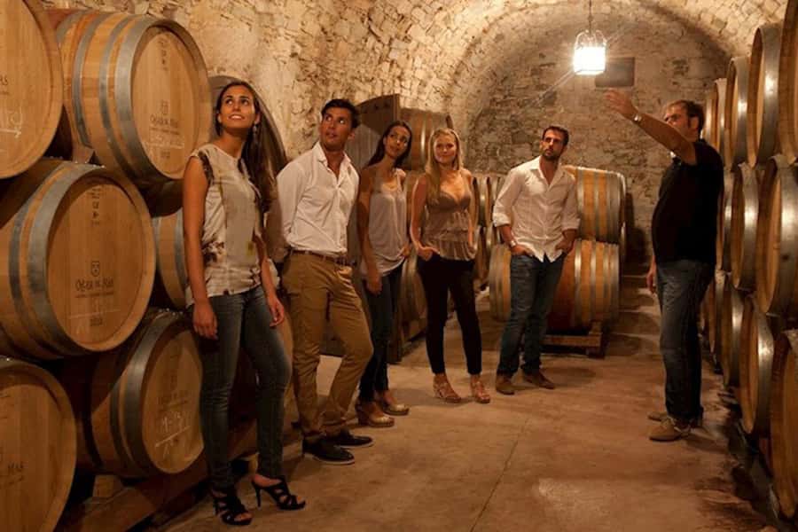 Perth VIP Swan Valley Wine Tour - Premium Small Group Tour - Who should book this Perth Swan Valley wine tour