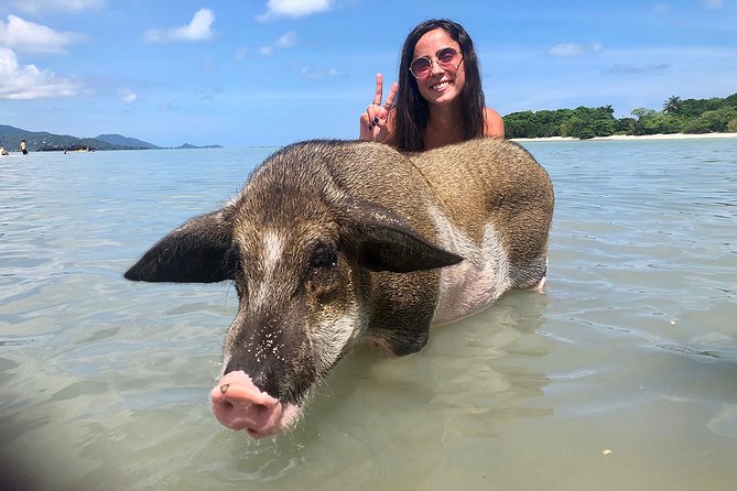 Pigs Island exclusive Semi VIP - Pickup and check-in: shared transport, clear flow