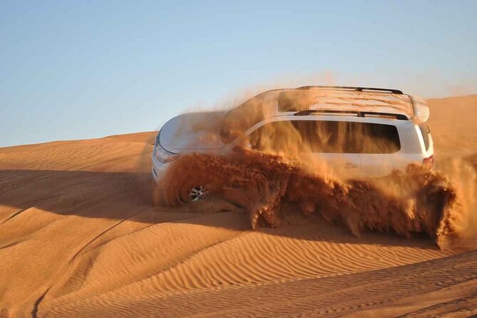 Premium Desert Safari with Dinner, Dunes and Ten Shows (VIP) - Quad rides and camel time: how to pick your pace