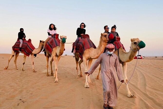 Premium Dubai Red Dunes with quadbike, camel ride and VIP Dinner - VIP Bedouin-style BBQ dinner with belly dance, tanoura, and fire